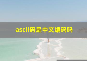 ascii码是中文编码吗