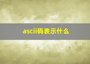 ascii码表示什么