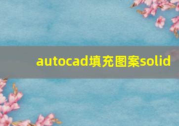 autocad填充图案solid