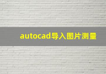 autocad导入图片测量