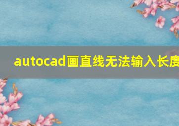 autocad画直线无法输入长度