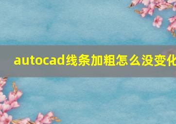 autocad线条加粗怎么没变化