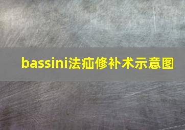 bassini法疝修补术示意图