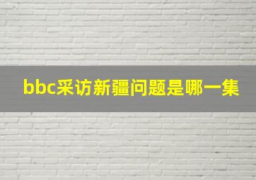 bbc采访新疆问题是哪一集