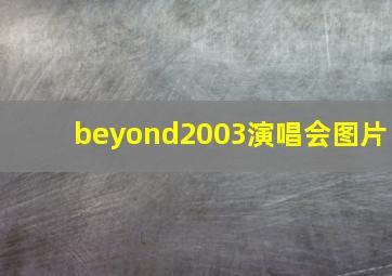 beyond2003演唱会图片