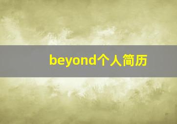 beyond个人简历