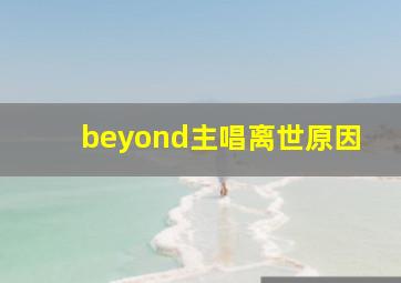 beyond主唱离世原因