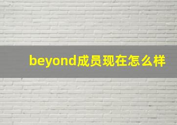 beyond成员现在怎么样