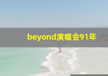 beyond演唱会91年