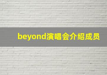 beyond演唱会介绍成员