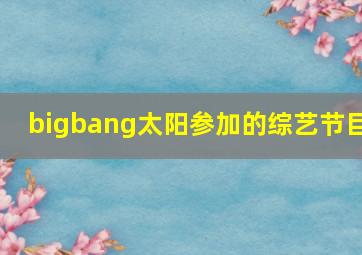 bigbang太阳参加的综艺节目