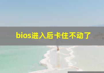 bios进入后卡住不动了