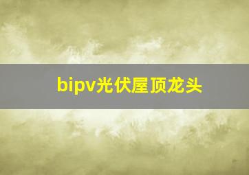 bipv光伏屋顶龙头