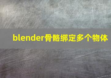 blender骨骼绑定多个物体