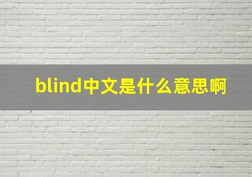 blind中文是什么意思啊