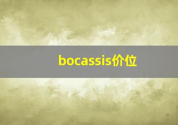 bocassis价位