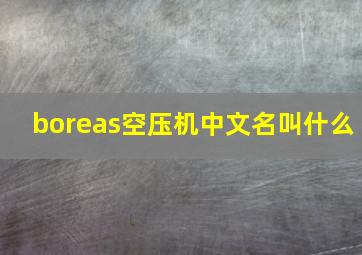 boreas空压机中文名叫什么