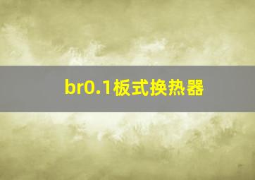 br0.1板式换热器