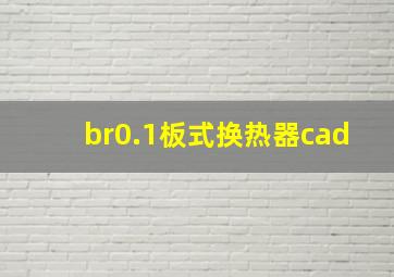 br0.1板式换热器cad