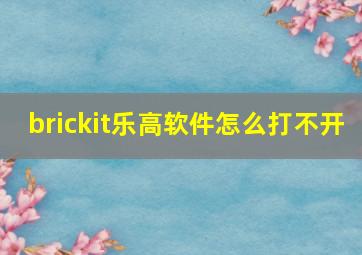 brickit乐高软件怎么打不开