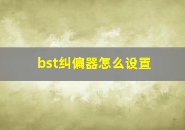 bst纠偏器怎么设置