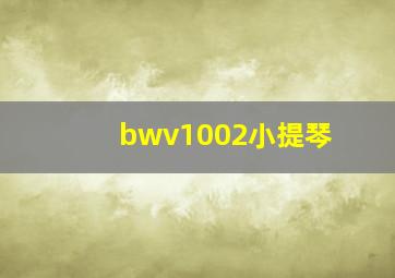 bwv1002小提琴