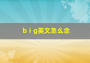 bⅰg英文怎么念