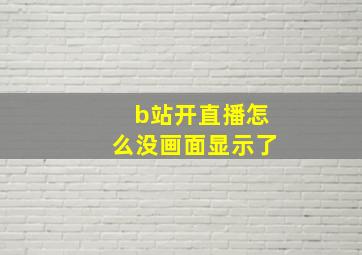 b站开直播怎么没画面显示了