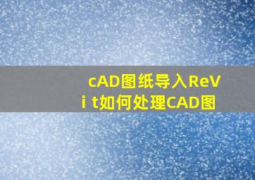 cAD图纸导入ReVⅰt如何处理CAD图