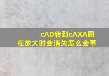 cAD转到cAXA图在放大时会消失怎么会事