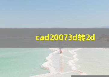 cad20073d转2d