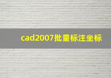 cad2007批量标注坐标