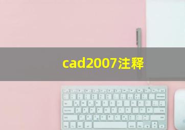 cad2007注释