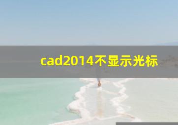 cad2014不显示光标