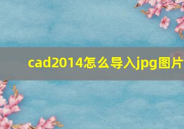 cad2014怎么导入jpg图片