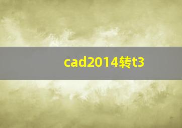 cad2014转t3