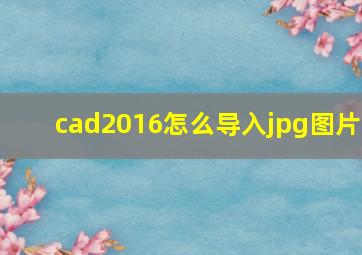 cad2016怎么导入jpg图片