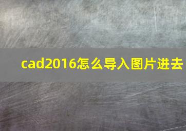 cad2016怎么导入图片进去