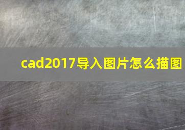 cad2017导入图片怎么描图