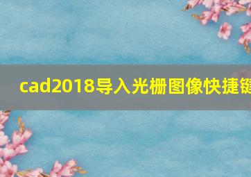 cad2018导入光栅图像快捷键