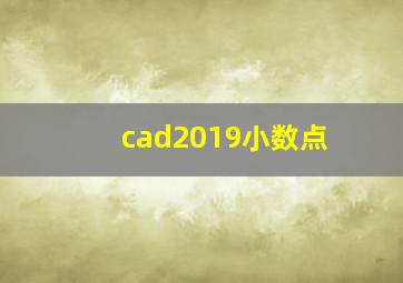 cad2019小数点