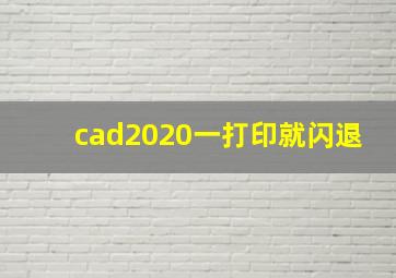 cad2020一打印就闪退