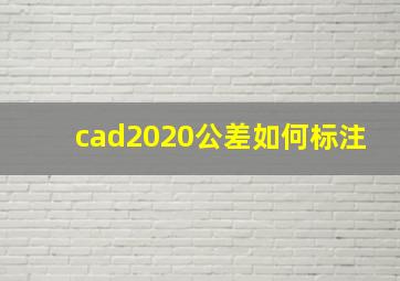 cad2020公差如何标注