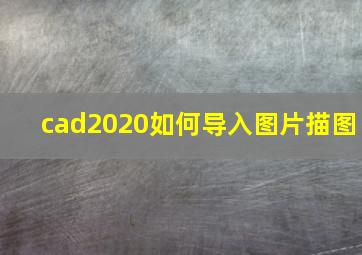 cad2020如何导入图片描图