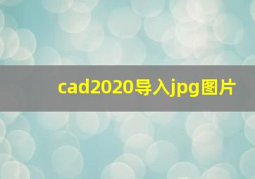 cad2020导入jpg图片