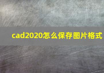 cad2020怎么保存图片格式