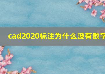 cad2020标注为什么没有数字