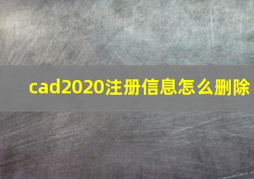 cad2020注册信息怎么删除