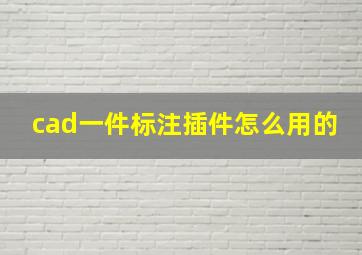 cad一件标注插件怎么用的