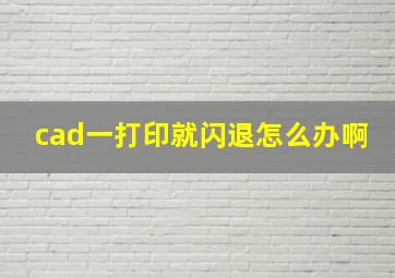 cad一打印就闪退怎么办啊